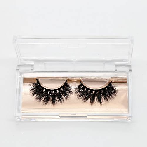 acrylic clear eyelash cases