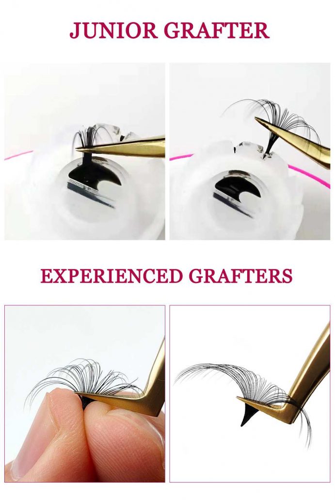 lashes extensions